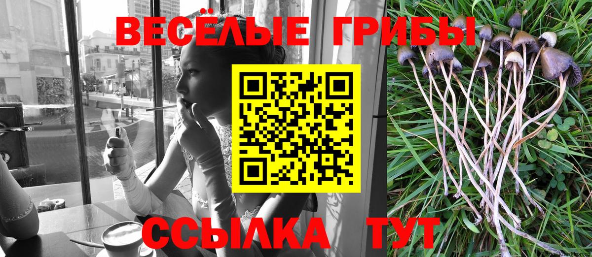 Родники  Галлюциногенные грибы мицелий  Вход с VPN 