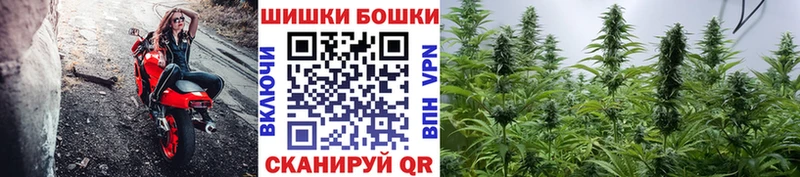 Канабис Bruce Banner  Родники 